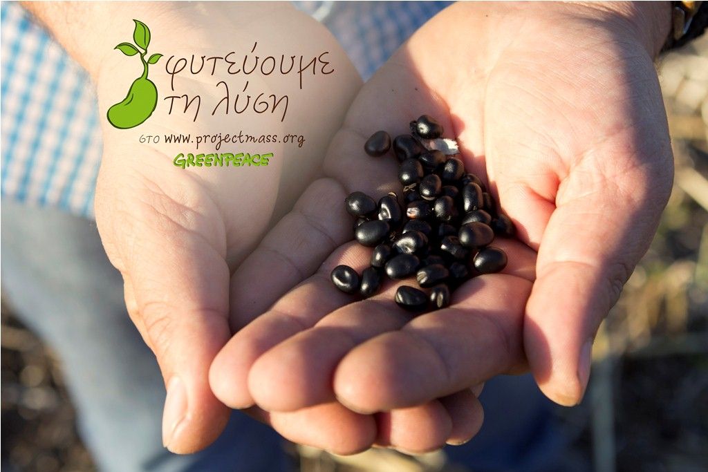 Greenpeace: Μαζί φυτεύουμε τη λύση στα μεταλλαγμένα